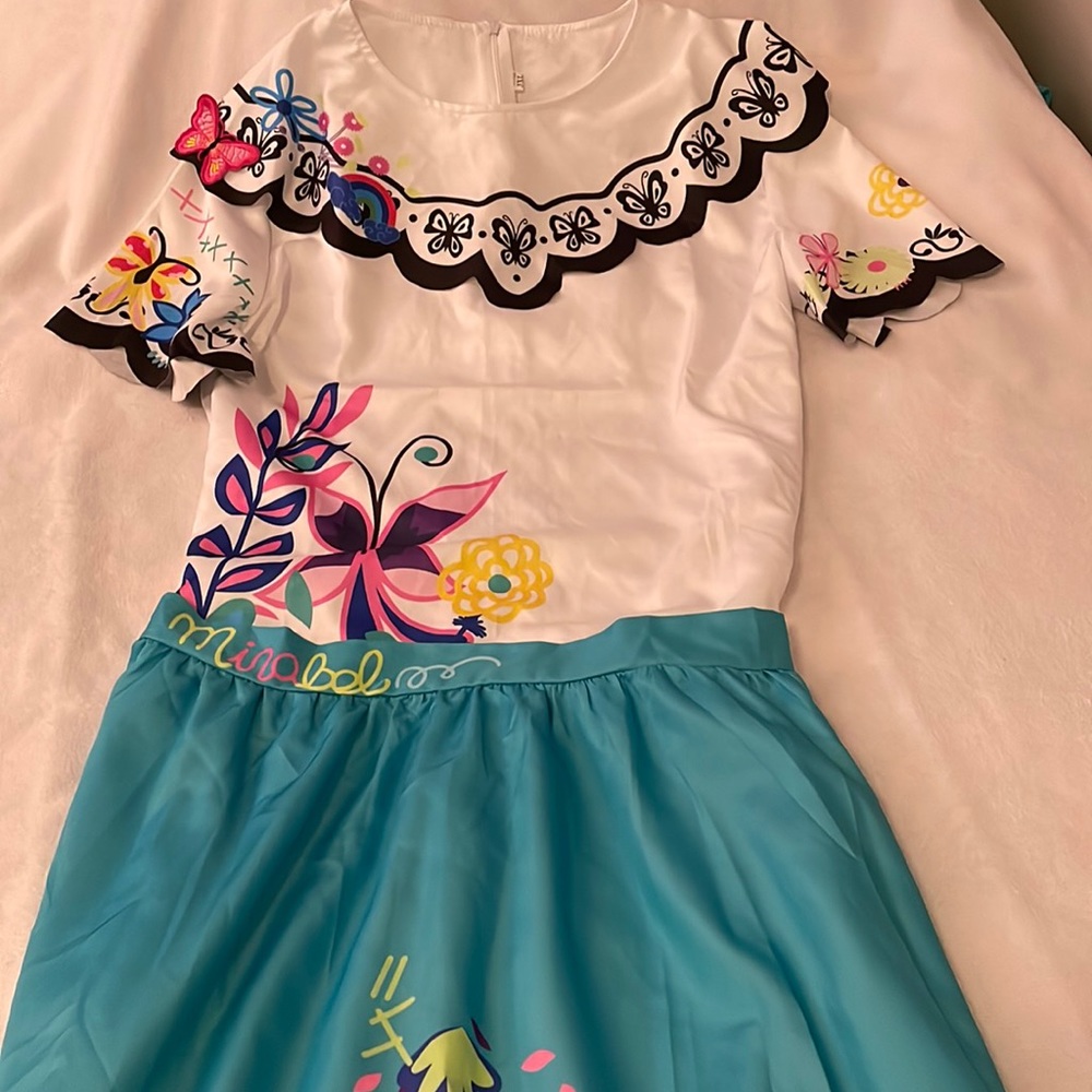 Encanto Top & Skirt